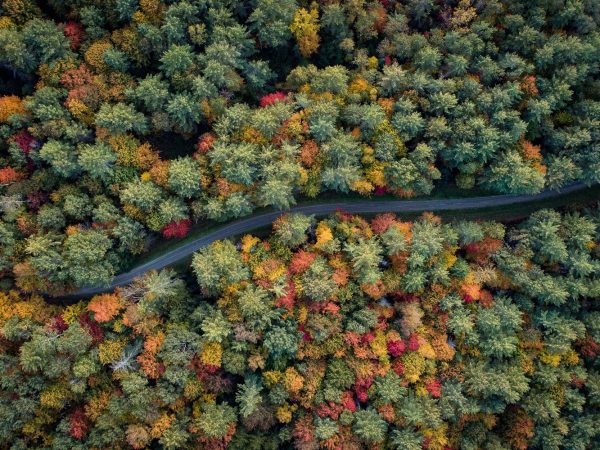 Unseen Heights Discovering Drone Photography Brilliance