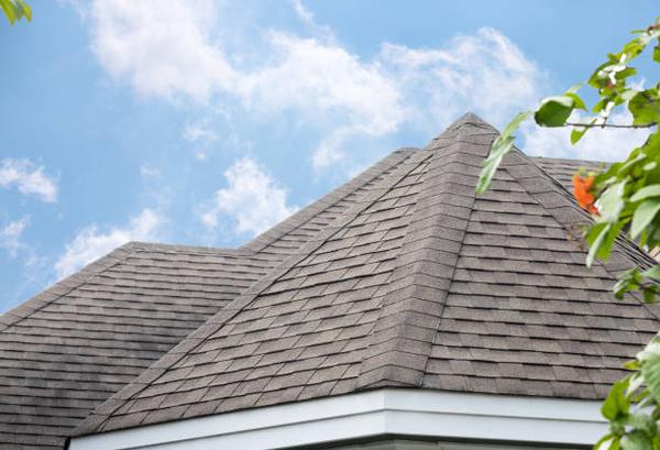 Ryne's Roofing Affordable Roof Replacement in League City